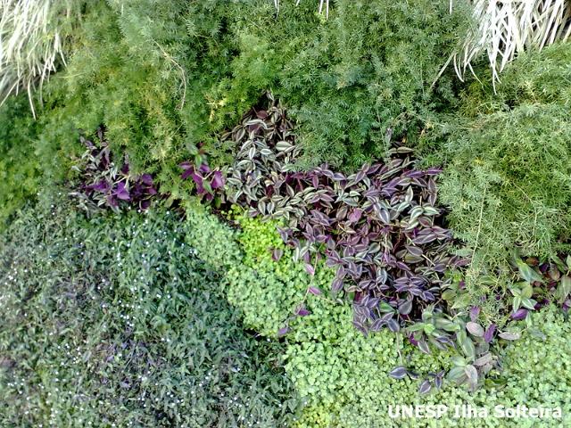 sbsr_maio_2011 (55).jpg